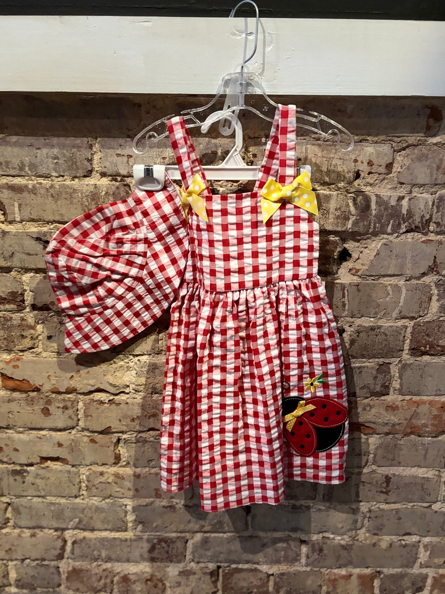 Little Lady Picnic Dress