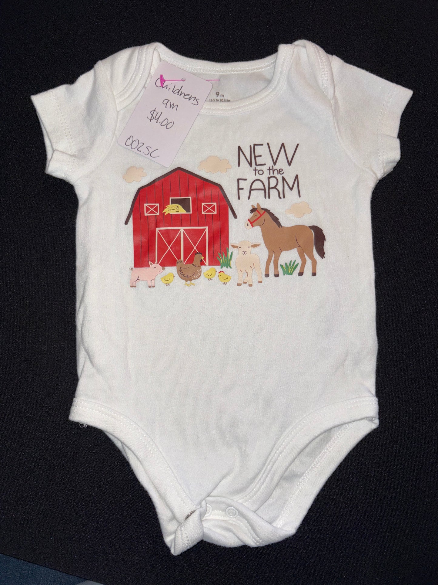 Baby Onesie 9M