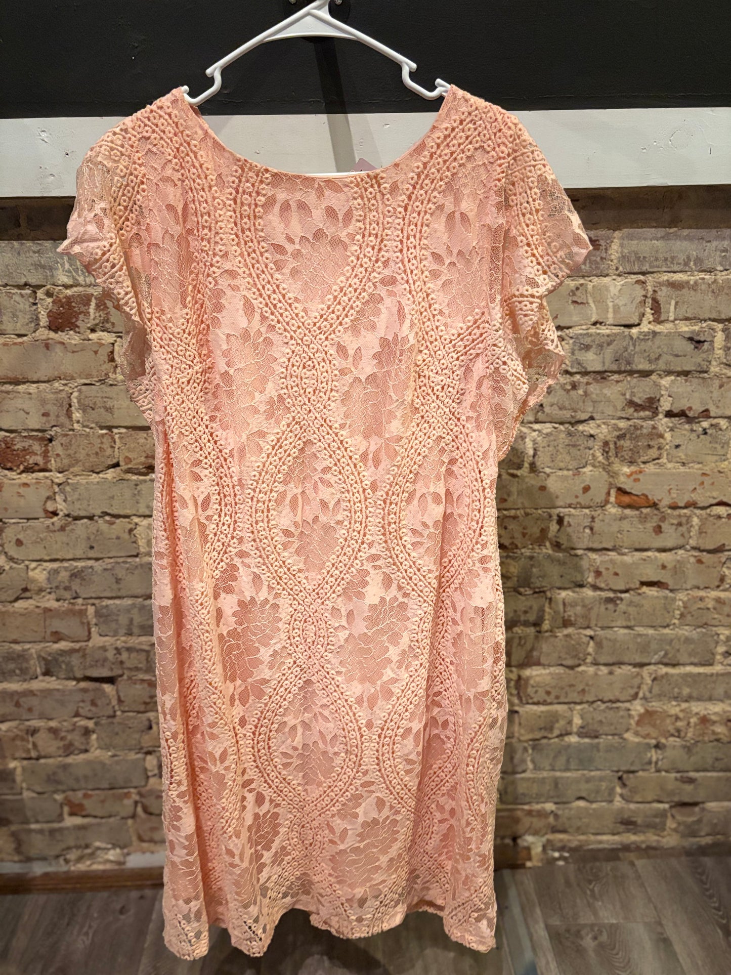 Women’s Cato Dress