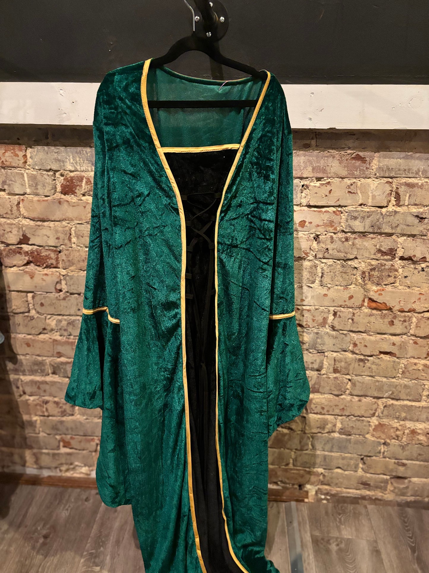 Lady Gwen Shrek Costume