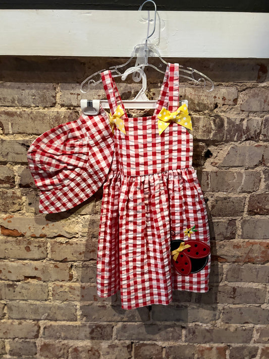 Little Lady Picnic Dress