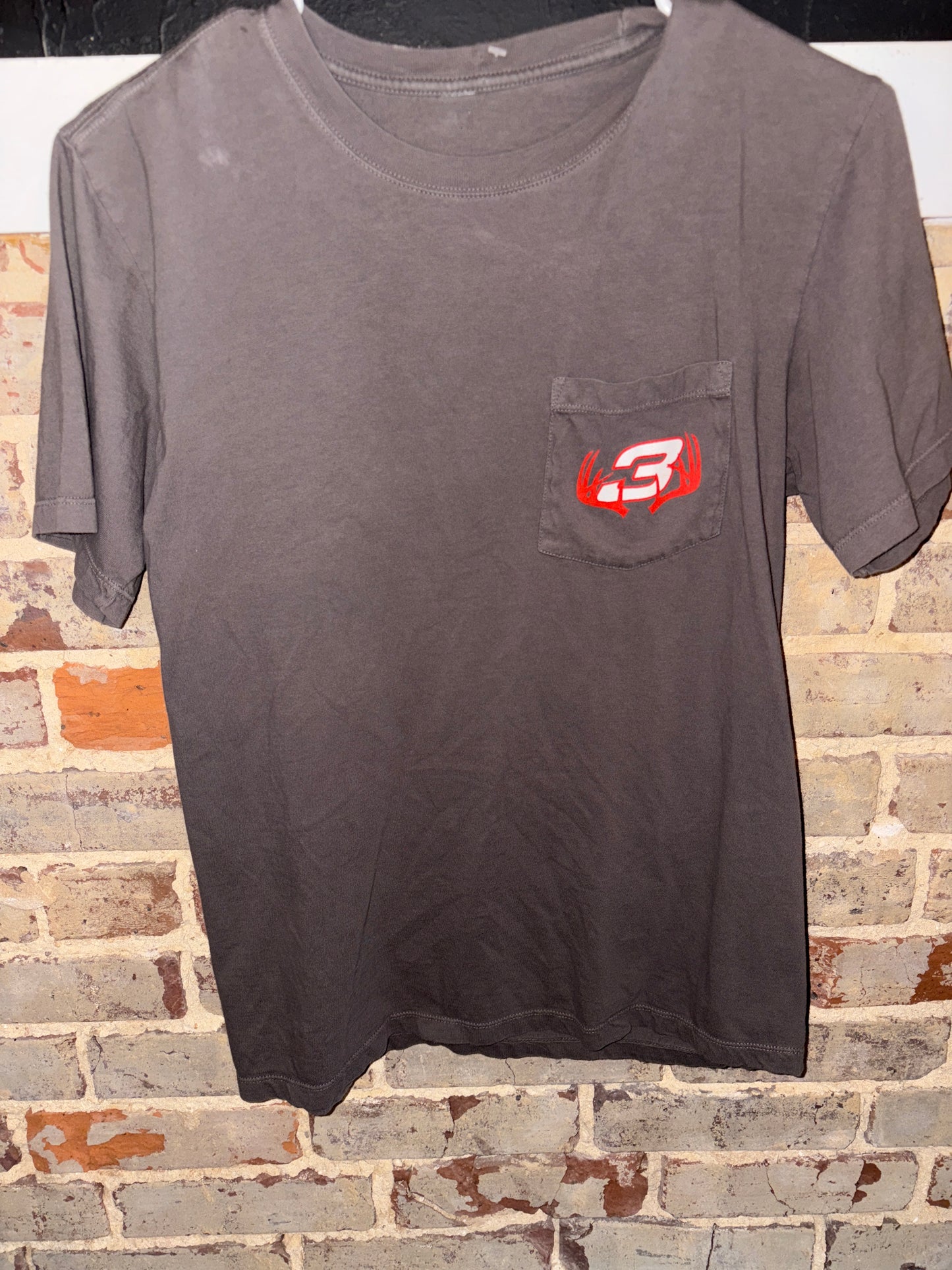 Unisex Small Earnhardt Tee