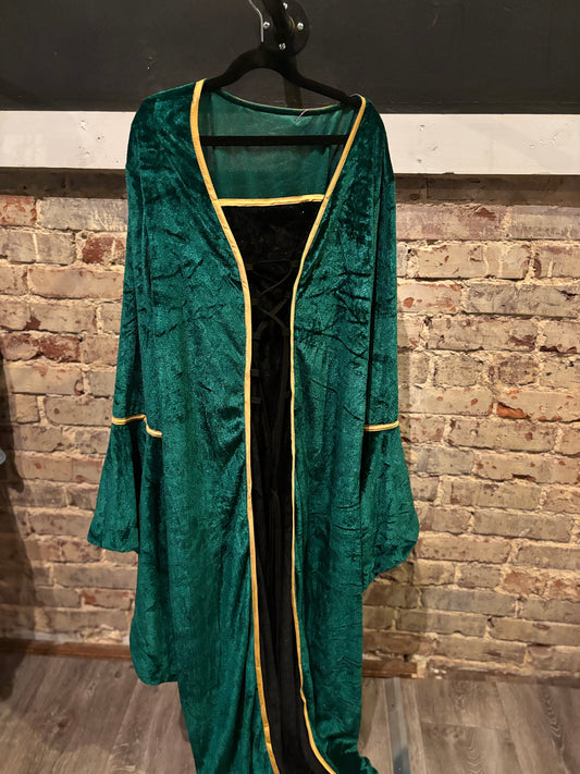 Lady Gwen Shrek Costume